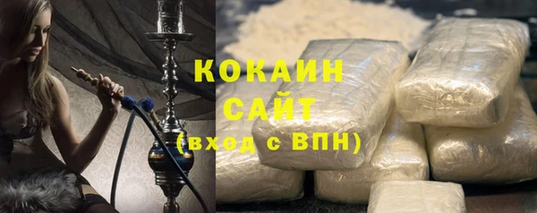 прущие грибы Бородино