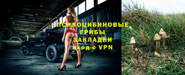 тгк Беломорск