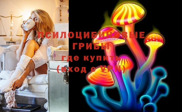 твердый Белокуриха