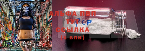 тгк Беломорск