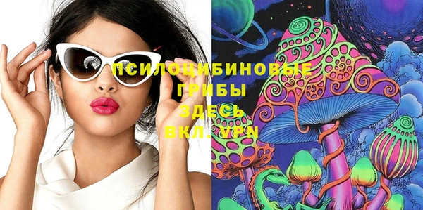 твердый Белокуриха