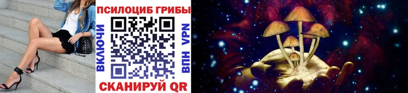 купить цена Высоцк Псилоцибиновые грибы прущие грибы